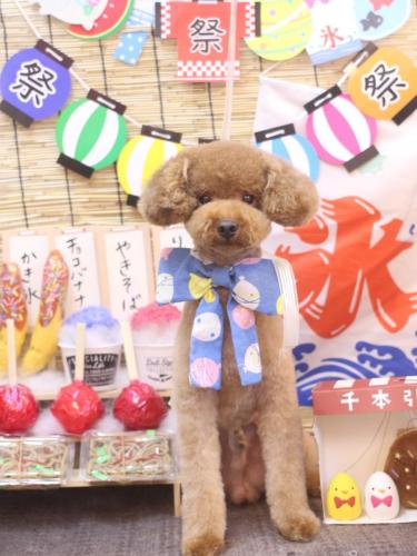 20240728まめくん